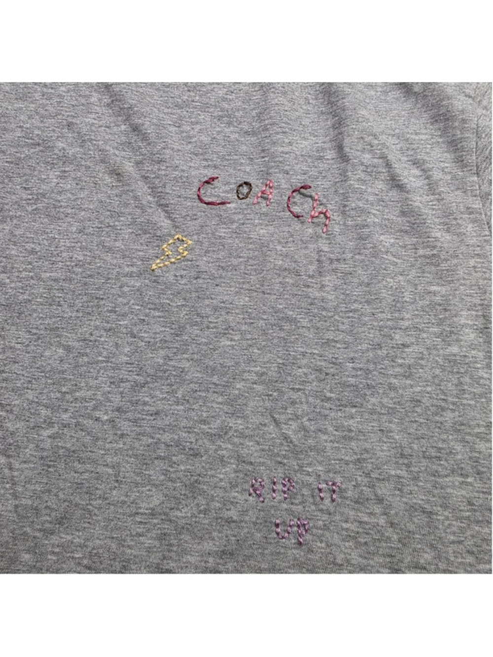 Coach Diary Script Embroidered Graphic T-Shirt Gray Women’s XL